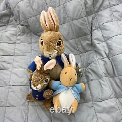 VTG Modern LOT 40 Peter Rabbit Beatrix Potter Bunny Plush Stuffed Animal Toys