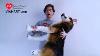 Viahart 3 Foot Snow Dog Stuffed Animal Plush Hank The Husky Video Review