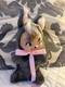 Vintage Rubber Face Plush Chipmunk Mexico 80's Nostalgia