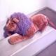 Vintage Semantodontics Lion Plush Stuffed Animal Oversized 40 Douglas Toys