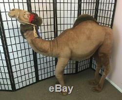 Vintage Steiff Studio Camel 5ft Tall! Oversized Plush Stuffed Animal Movie Prop