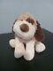 Webkinz Original Cheeky Dog Hm063 No Code