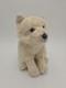 Webkinz Signature Arctic Fox Plush Stuffed Animal Ganz Wks1053 Rare No Code