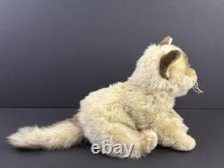 Webkinz Signature Ragdoll Cat Stuffed Animal Plush with Sealed Unused Code