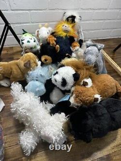 Webkinz plush lot Of 14 Lucky dino Black Bear Billy Goat Red Panda Lot Withcodes