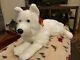 White Anee Park 24 Husky From Thailand Plush Stuffed Animal Plushie Wolf Dog